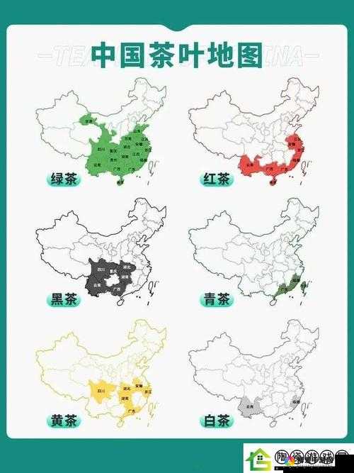 91精品国产一区二区三产区区别：深入探讨其具体内容与差异