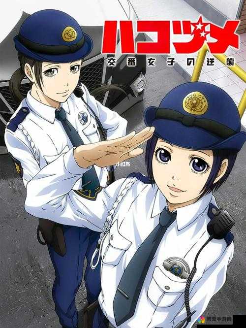 女警在线播放：揭秘神秘女警背后的故事