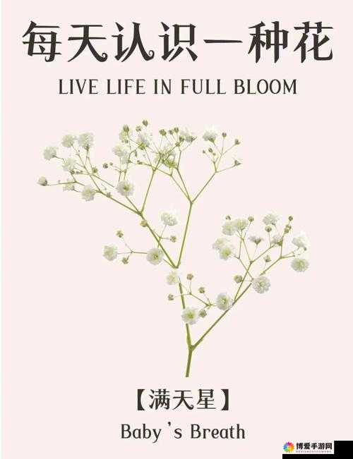 俄罗斯三部曲满天星：美丽与神秘的完美结合