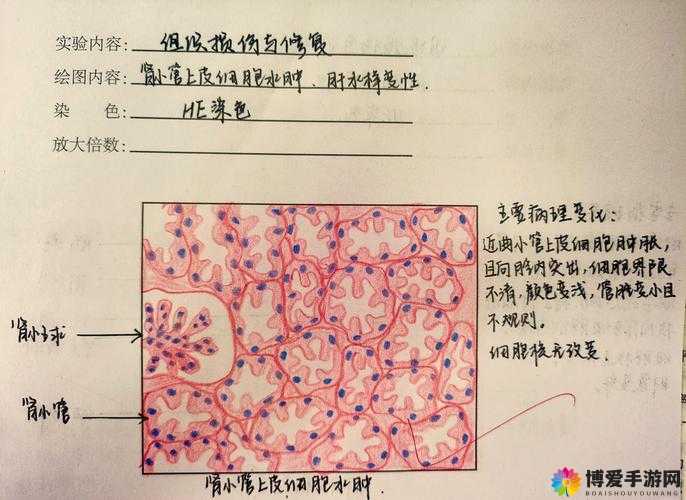 粉色视频苏晶体结构 abb：探索未知的微观世界