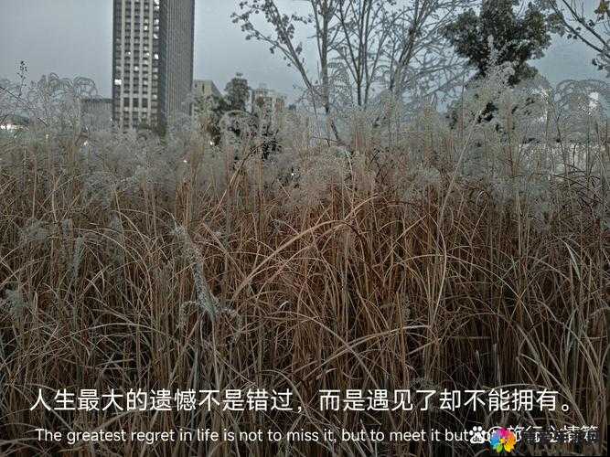 师生间的情感纠葛：老师搡 BB，BB 搡爱恋