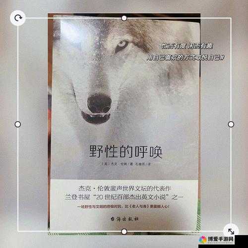 野性的呼唤：探寻荒野中的生命力量与成长历程