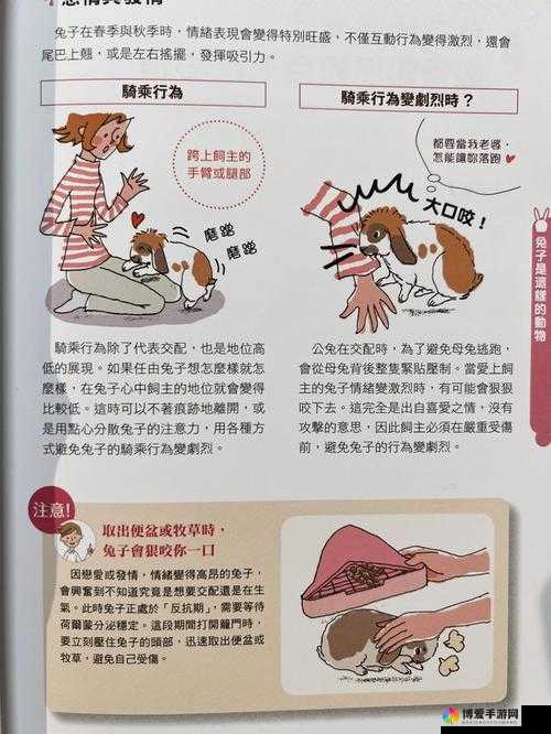 男生咬小兔兔时复杂又矛盾的心理深度剖析