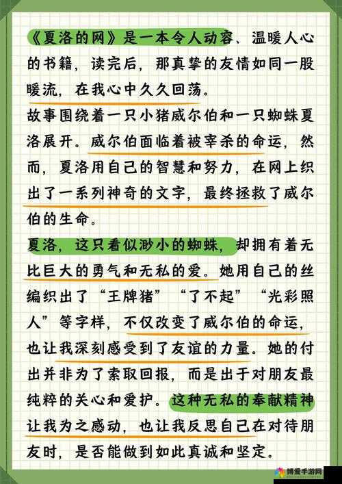 以 xxxbbb 为中心展开的精彩故事探讨