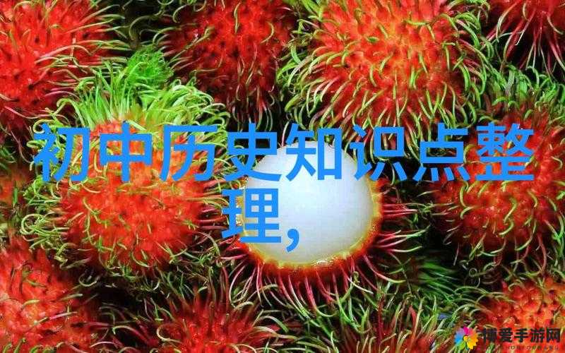 西方 44 大但人文艺技术：探索其深远影响与独特魅力