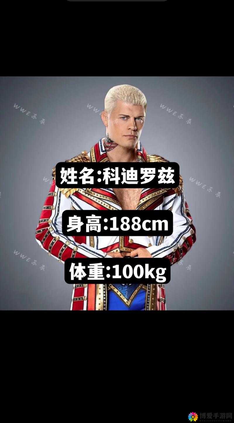 jealousvue 日本 wwe：格斗界的激情与挑战