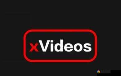 xvideos 官网：探索精彩视频世界的优质平台