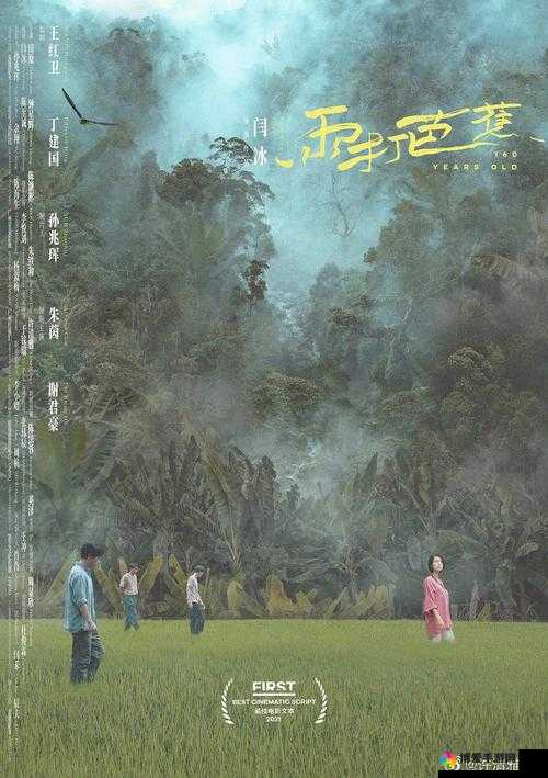 雨打芭蕉电影免费观看高清：带你领略绝美视听盛宴