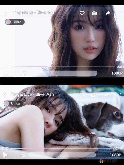亚洲 MV 与欧洲 MV 换算方法全解析