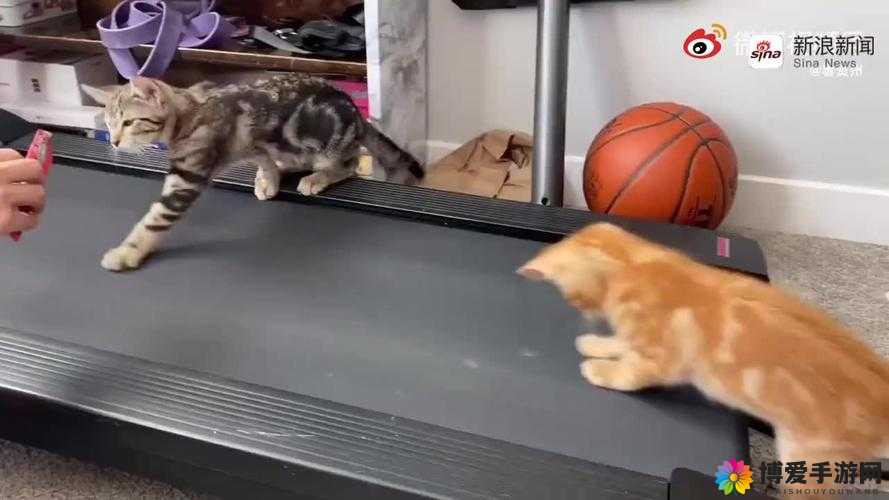 逛街时突然打开开关引发的奇妙后续