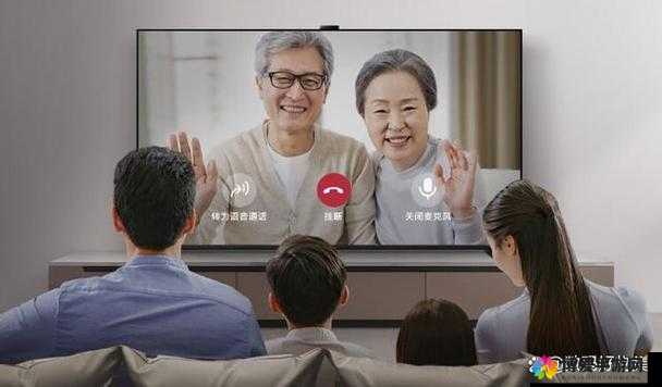 鲁大师观看视频在线：带你畅享极致视频体验之旅