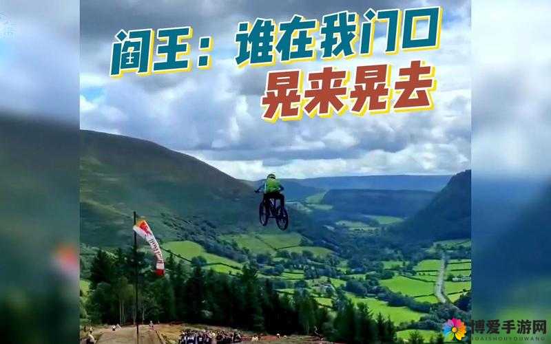 那棵晃来晃去的巨峰在风中摇曳生姿