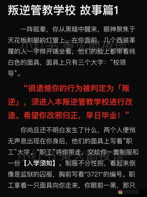 林先生的花式管教笔趣阁：探寻其中独特的管教模式与精彩故事