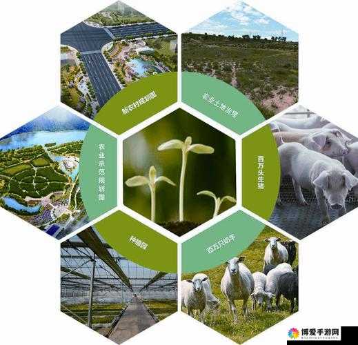 人马畜禽 company limited 最新业务：打造农业全产业链，推动可持续发展