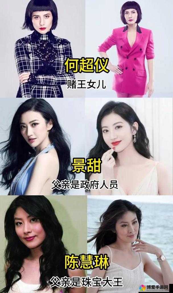 给我 C1V1 娱乐圈：揭秘明星背后的独家故事