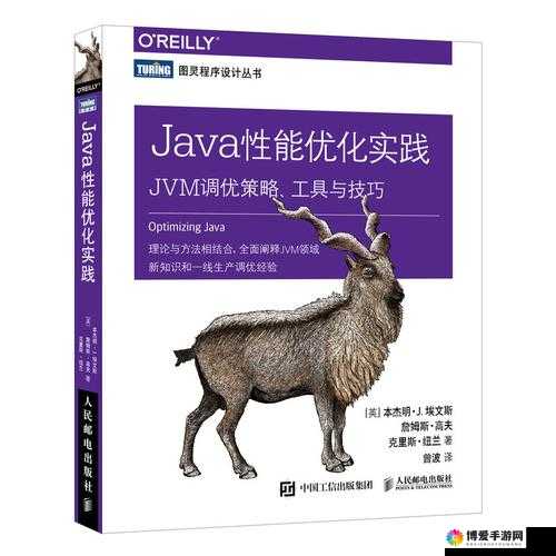 JavaJVM ：深入探索其内部机制与性能优化策略