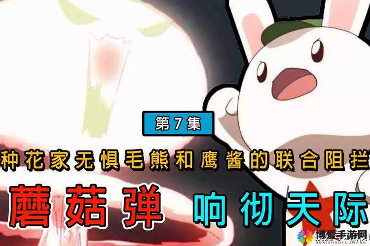 音乐老师的兔子弹弹：教你弹奏动人旋律