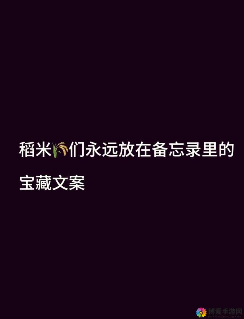 车速超高废文的双男主小说之情感纠葛与命运交织的故事