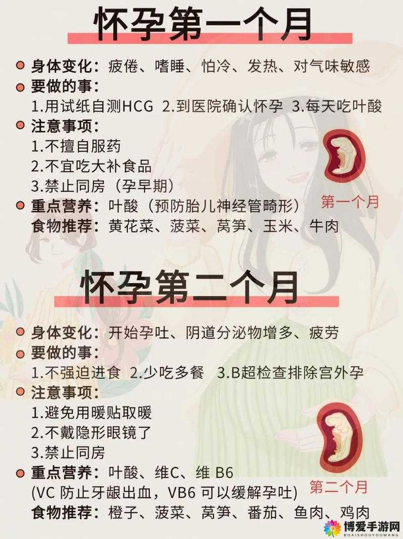 新版孕妇bbwbbwbbw：关于其孕期特点与注意事项的探讨