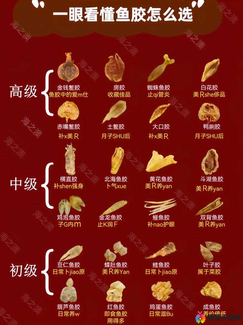 动物胶配方大全高清详细解析及实用技巧分享