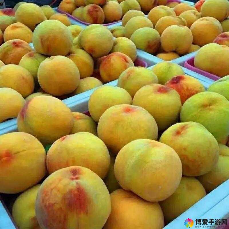 9612 黄桃亚洲品质在线观看：带你领略独特的亚洲品质黄桃魅力