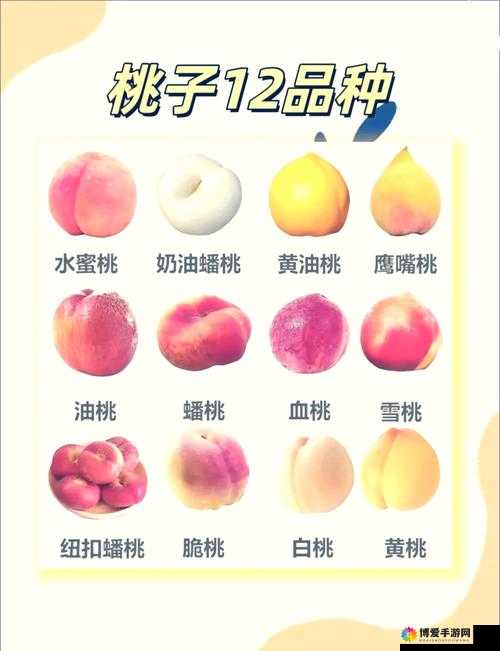 水蜜桃一卡 2 卡 3 卡 4 卡：探索其独特魅力与价值所在