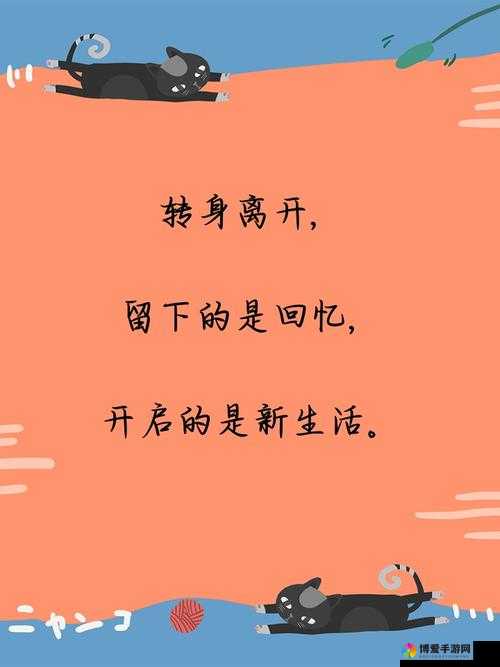 开始慢迎迎合：开启一段美好的感情旅程