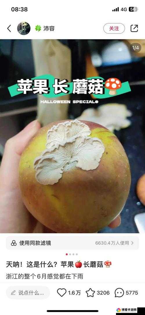 17c 爆料独家揭秘蘑菇背后的神秘故事