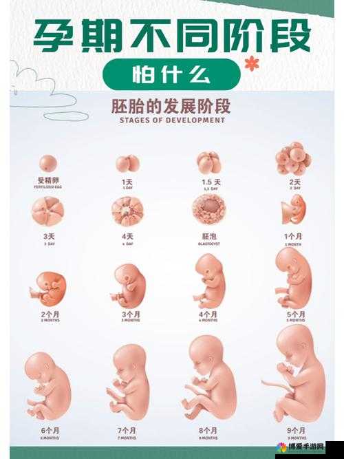 我想亲近宝宝并蹭一蹭宝宝是否合适呢