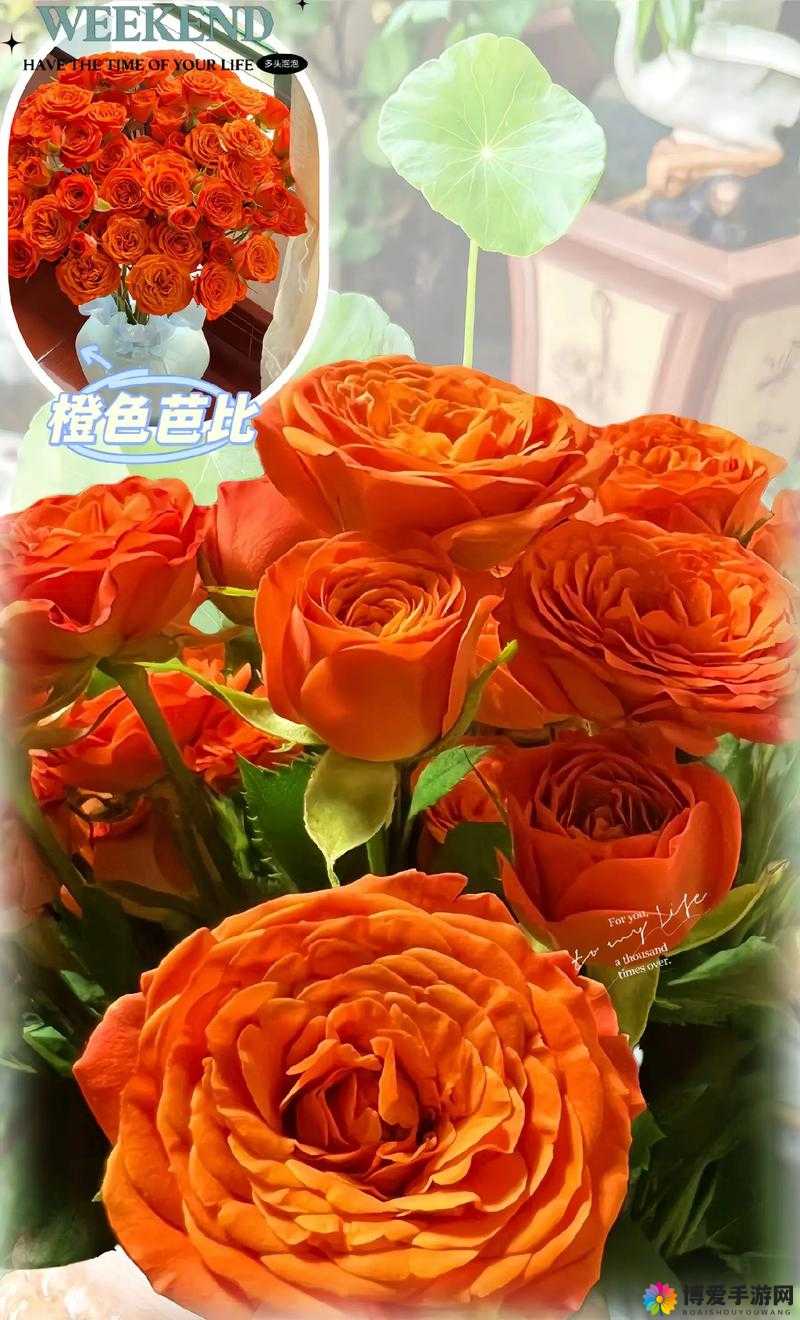 从后面抱着妈妈突然脸一红：那一刻内心的羞涩与温暖