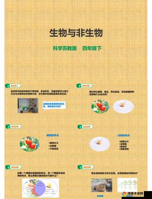 人与猪的 DNA 研究：探索未知的奥秘与可能