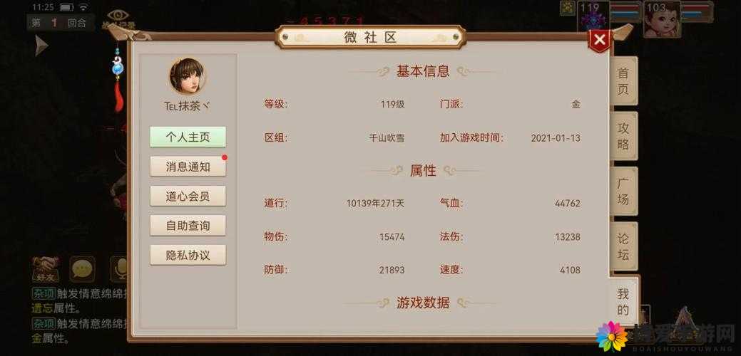 问道手游水系职业相性加点攻略，资源管理、高效利用与最大化价值