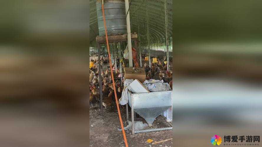 2024 国精产品一二二线精东：探寻未知的神秘世界