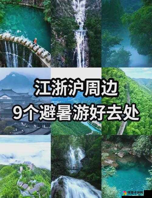 伊春园 2023 入口直达:畅享无尽精彩