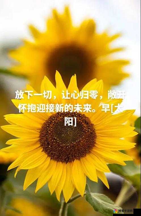 亲爱的你张张腿：请张开怀抱迎接美好未来