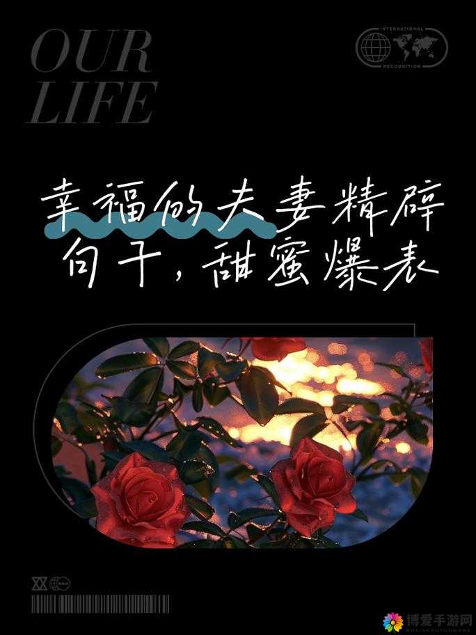 JAVAPARSERHD 夫妻的幸福生活点滴与感悟