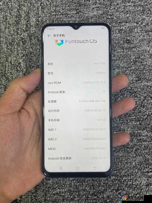 一级成色好的 y31s 标准版评测资源已失效：平台回复及后续影响分析