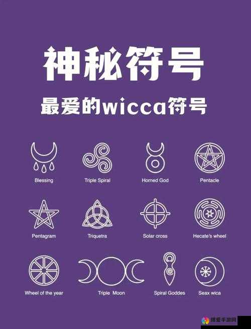 7x7x 任意噪：探索独特而神秘的数字组合世界