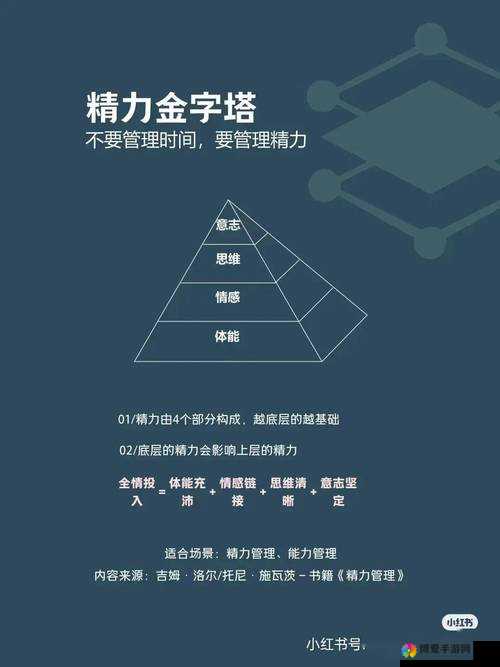 坚持新手法宝推荐：助力你走向成功的绝佳指南