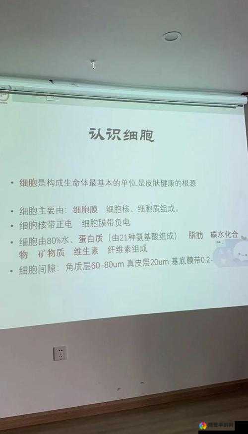 皮肤纪录趣味统计：探索肌肤背后的奇趣世界与数据奥秘
