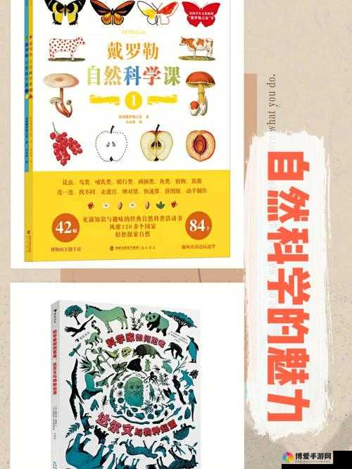 探索大地资源二在线观看免费高清的魅力：发现自然之美，感受地球的力量