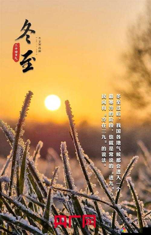 冬至糙汉 1VL1 升温：在寒冷冬日演绎别样的情感故事