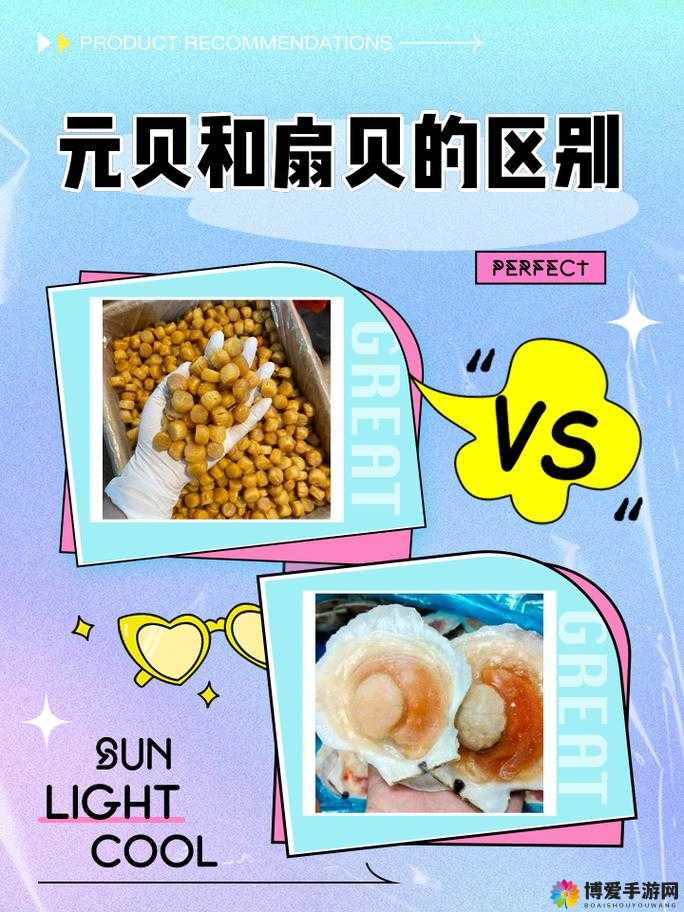 这是我的小扇贝好看吗：让你眼前一亮的美丽存在