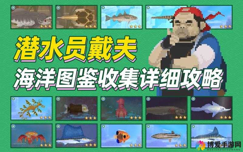 潜水员戴夫鱼笼诱饵放什么：获取更多宝藏的关键