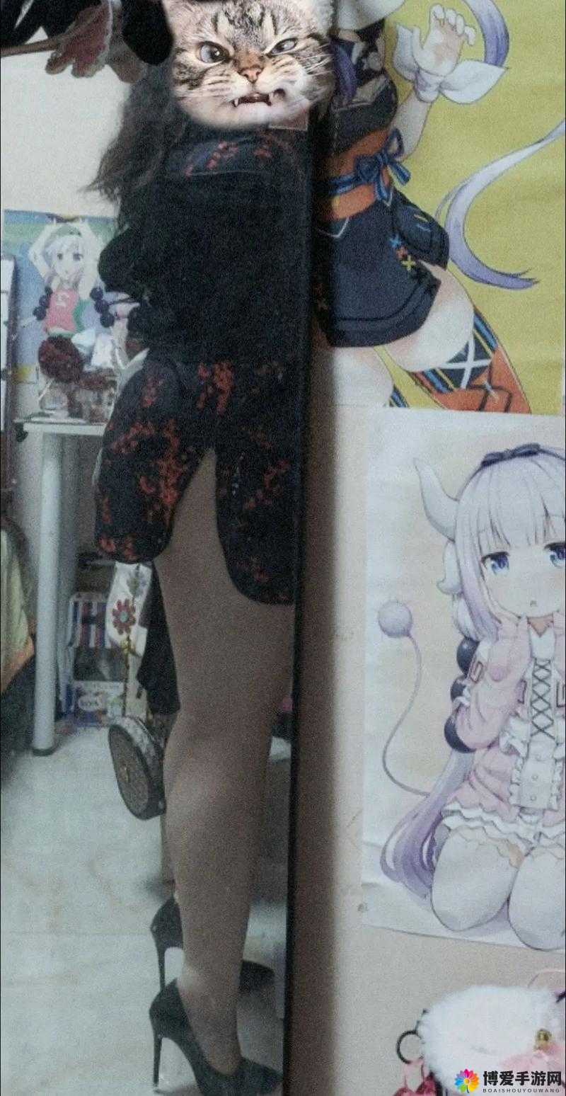 BBWBBWBBWBBWBBW40：探索其背后的神秘世界
