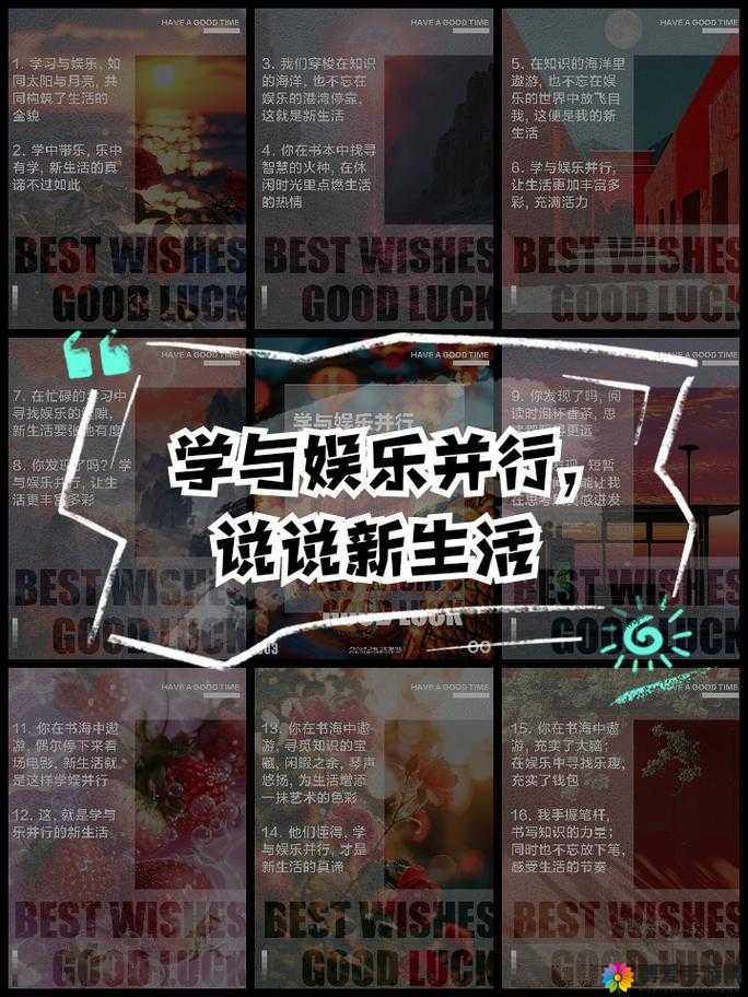 你可以在 B 站直播间里学习和娱乐