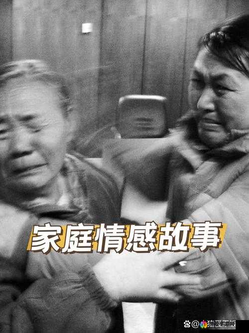 二婚后前夫又回来，1v2 情感纠葛再起
