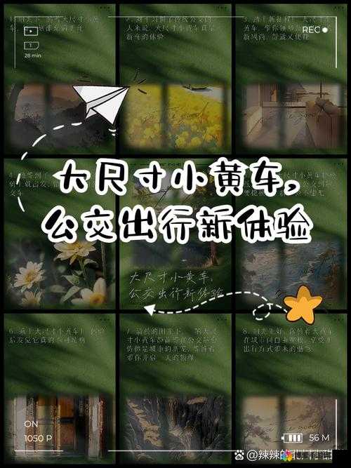合家欢下册公交车：带给你不一样的出行体验与温馨故事