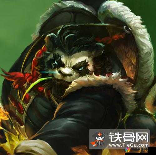 全民超神Zn解说，功夫之神阿宝打野带节奏