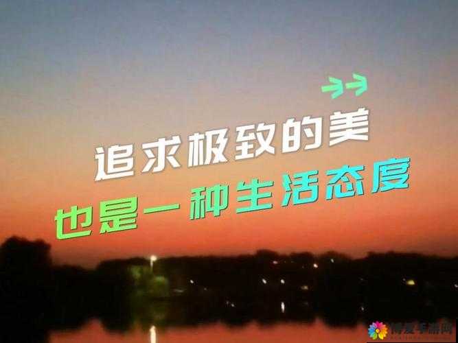 如饥似渴 la.vorace：对知识的极致追求与渴望